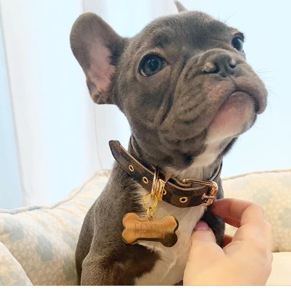 Meet your Posher, Maura - Picture 1 of 1